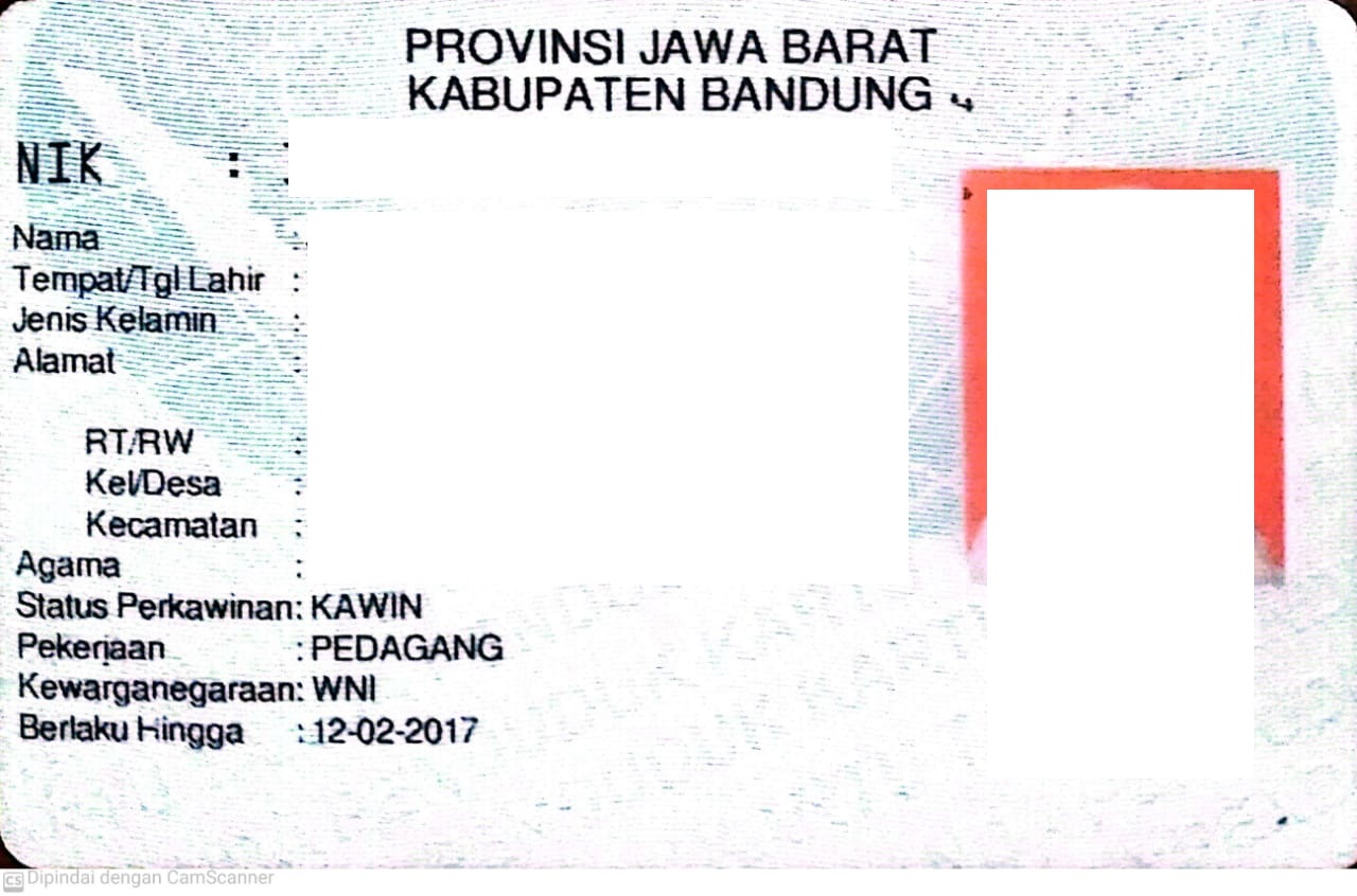 camscanner